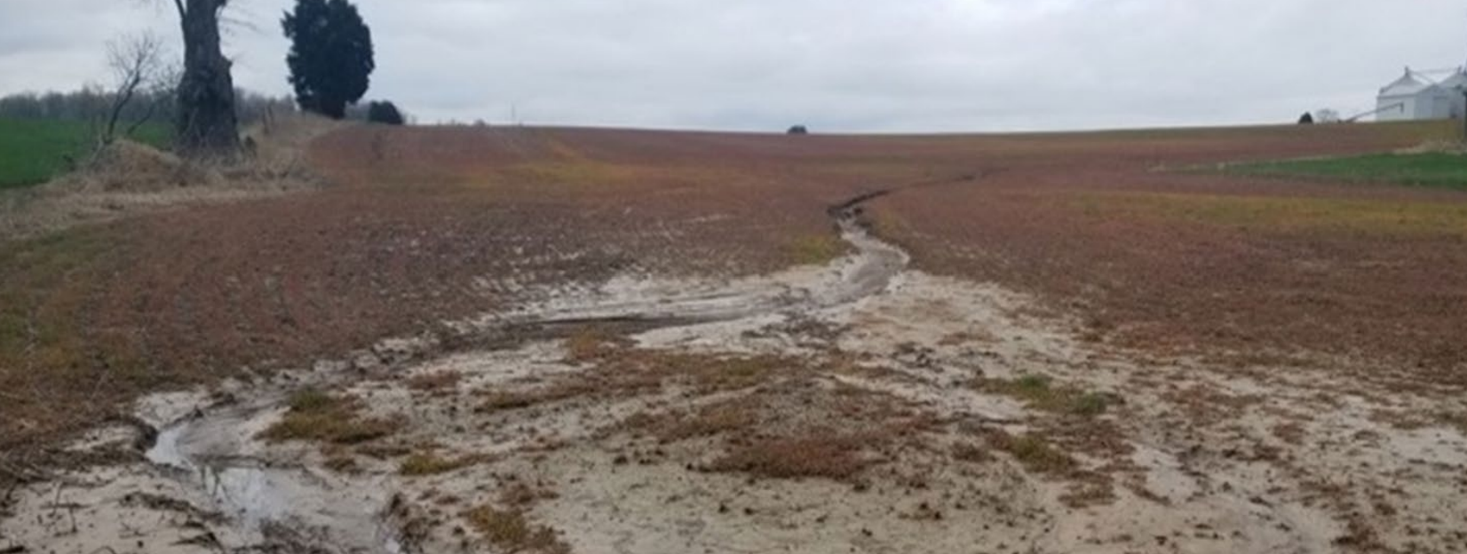 no-till field with no cover