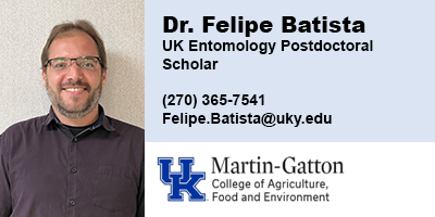 Felipe Batista, University of Kentucky