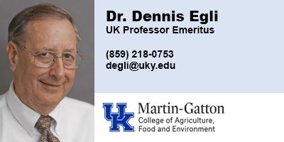 Dennis Egli
