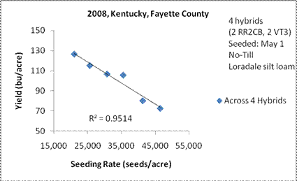 Figure 5. Corn yield response to seeding rates at Spindletop Research Farm, near Lexington, KY, 2008.