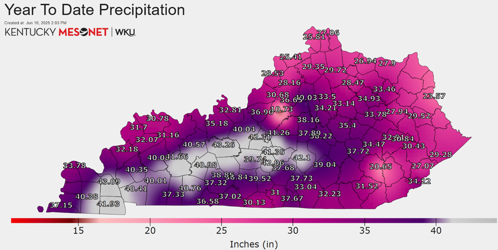 Precipitation map