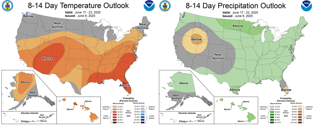 weather maps