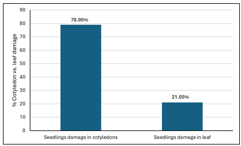 Pillbug damage chart