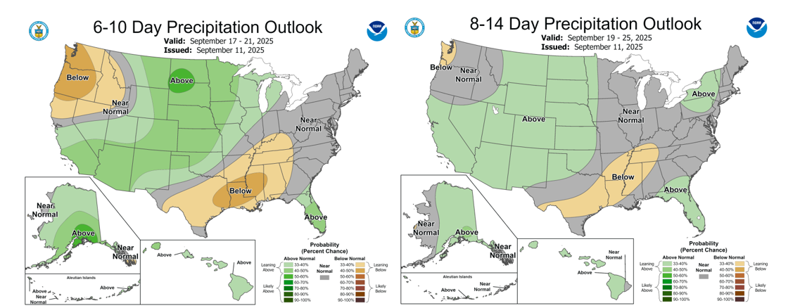 Precipitation outlook maps