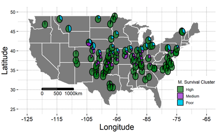 winter survival of canola in the US