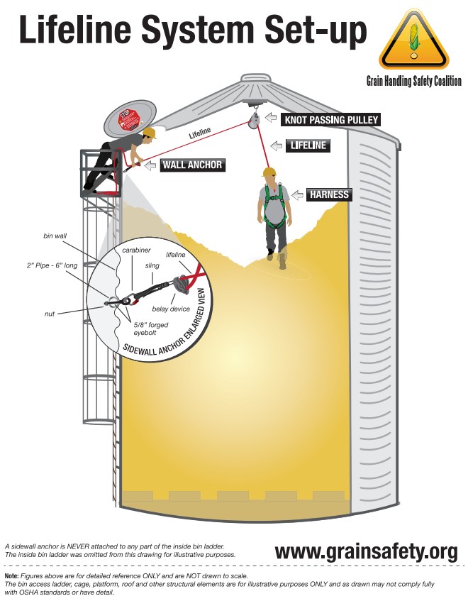 Lifeline system set-up