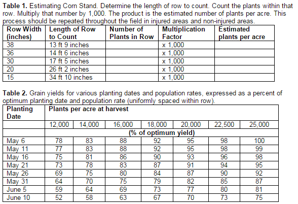 Table 1. Estimating Corn Stand.