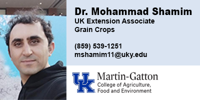 Mohammad Shamim, University of Kentucky
