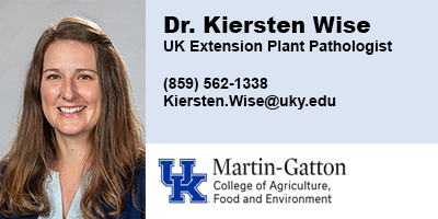 Kiersten Wise, University of Kentucky